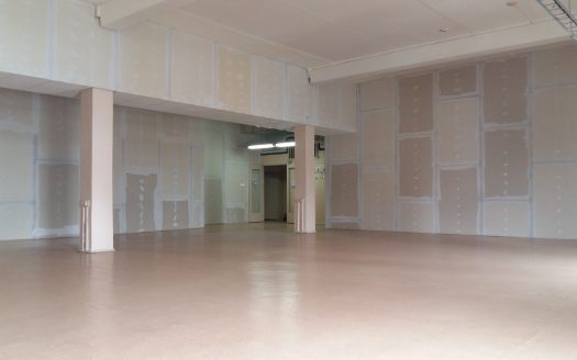 Административное здание «Беломорская 36» 254 м²