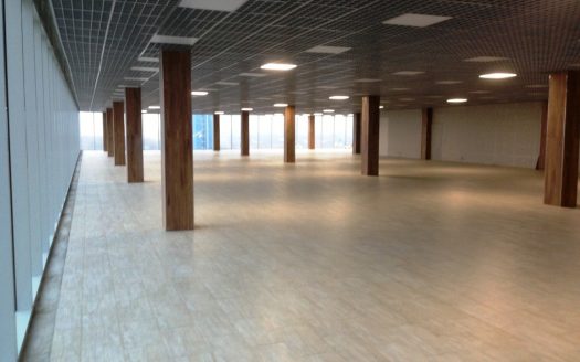 Бизнес центр «Премиум Вест» 1309 м²