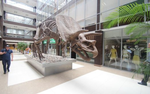 Бизнес центр «Омега Плаза» 156 м²