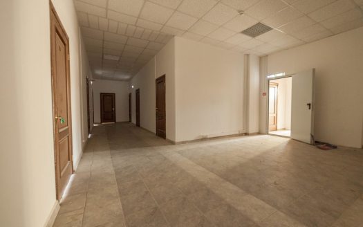 Бизнес центр «Лакки плюс» 383 м²