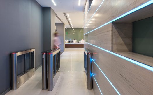 Собственник «Хамелеон»