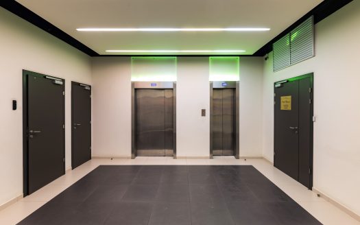 Собственник «Хамелеон»