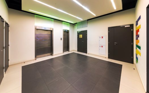 Собственник «Хамелеон»