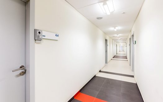 Собственник «Хамелеон»