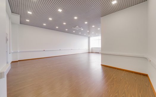 Собственник «Хамелеон»