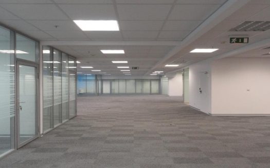 Бизнес центр «Lotte Plaza» (ЛОТТЕ ПЛАЗА) 774 м²