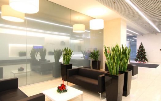 Собственник «Двинцев»