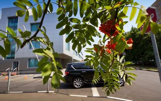 Бизнес-центр «Теплый Стан» 193 м²