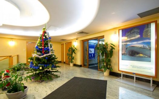 Собственник «Ринко Плаза»