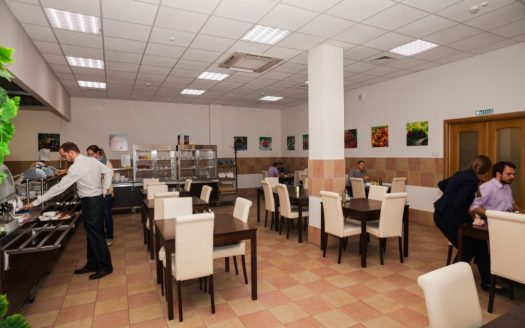 Бизнес-центр «Шумкина 20» 207 м² (Под банк, подвал)